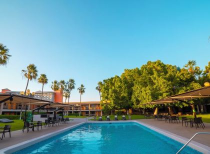 Royal Panda casino login