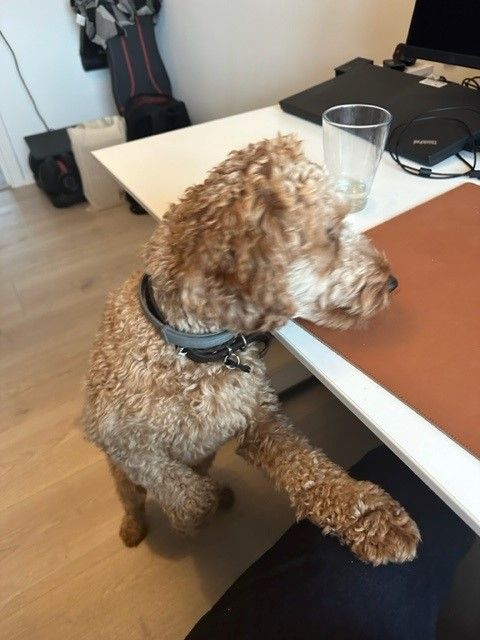 no deposit bonus casino 2019 uk