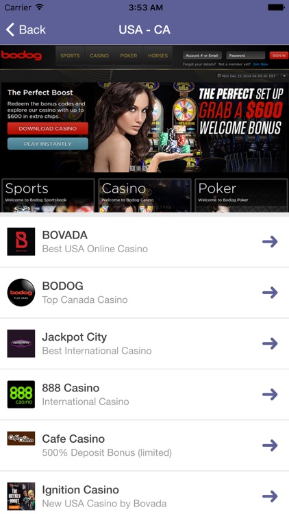 5dimes casino app
