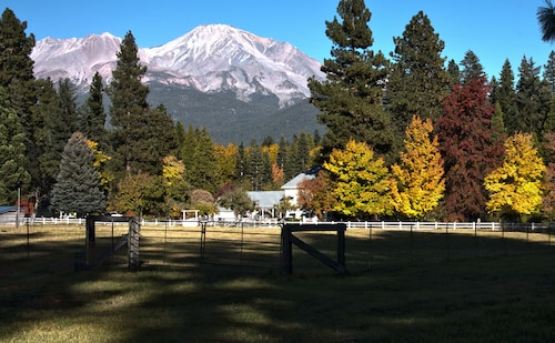 no deposit bonus usa 2020