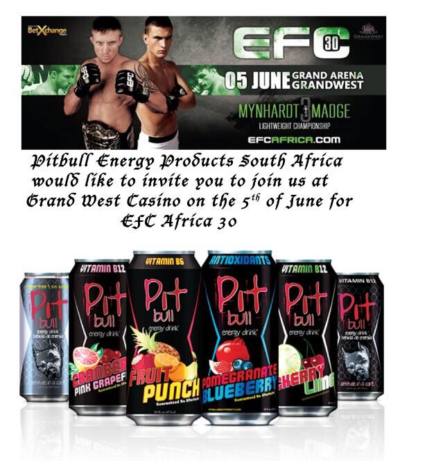 age of discovery Slotspiel für echtes Geld