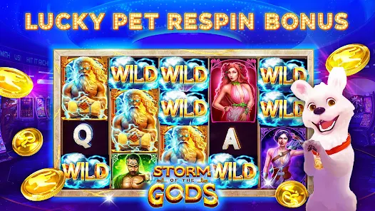 k casino