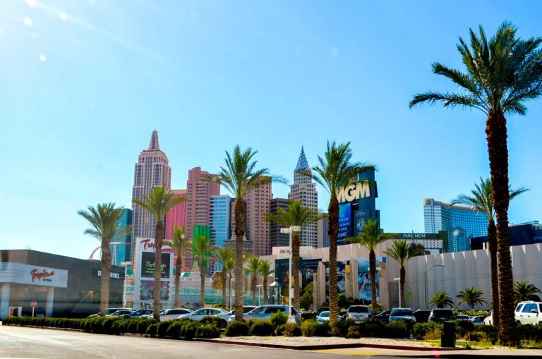 no deposit bonus hallmark