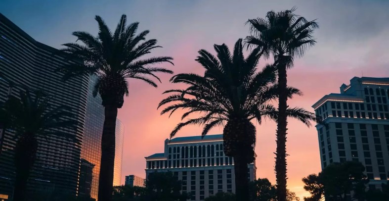 online casino paysafe