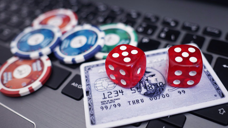 the wild 3 online slot