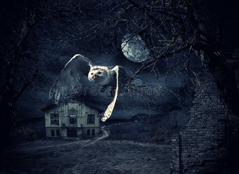 Dark Knight slot free spins