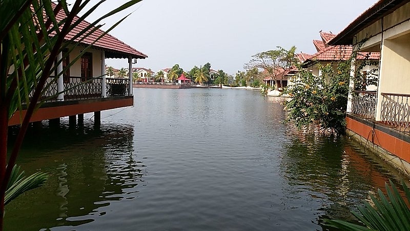 live casino Pots of Luck app