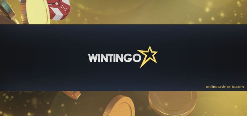 casino Bitcoin $100 free spins