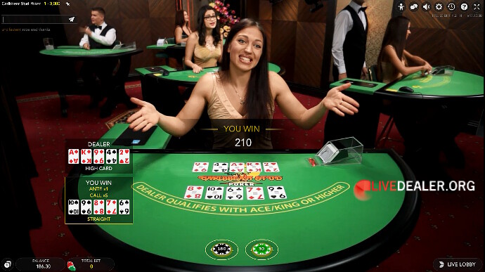 mr bet casino app download