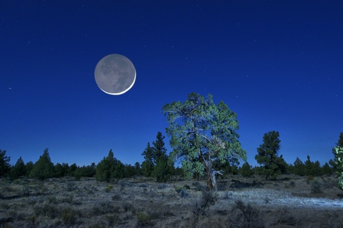 1000$ no deposit bonus casino 2019