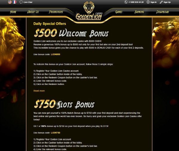 what a hoot casino