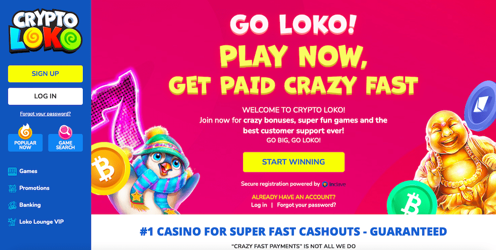 Misterwinner casino bonus code