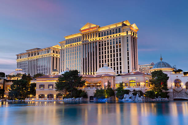 online casino games new zealand