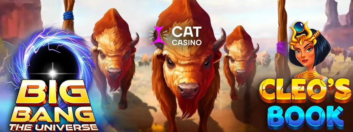 racing for pinks slot payout