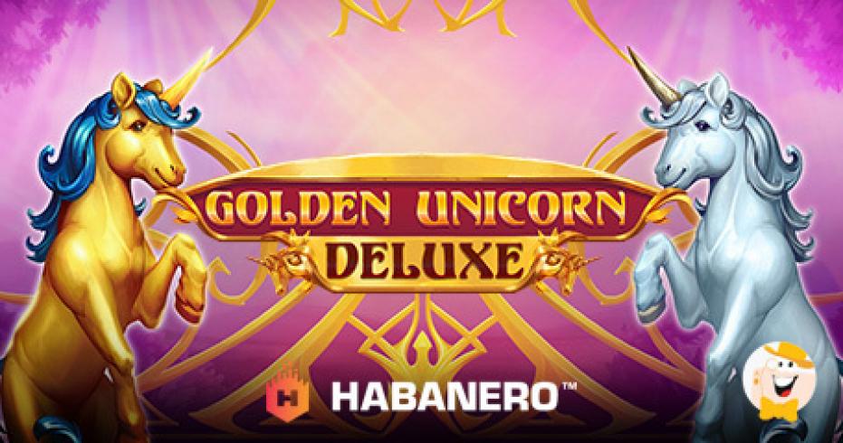 top 5 online casino