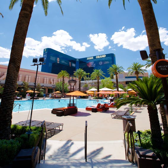 slot online fortune turtle