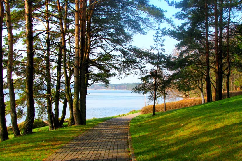 Casino 21 Nova Iniciar sesión