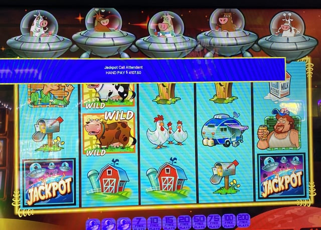 new canadian online casino