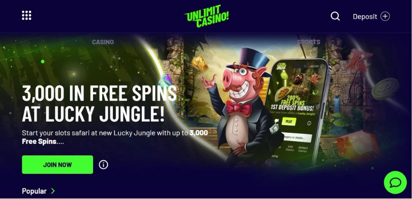 Discover Card casino mobile