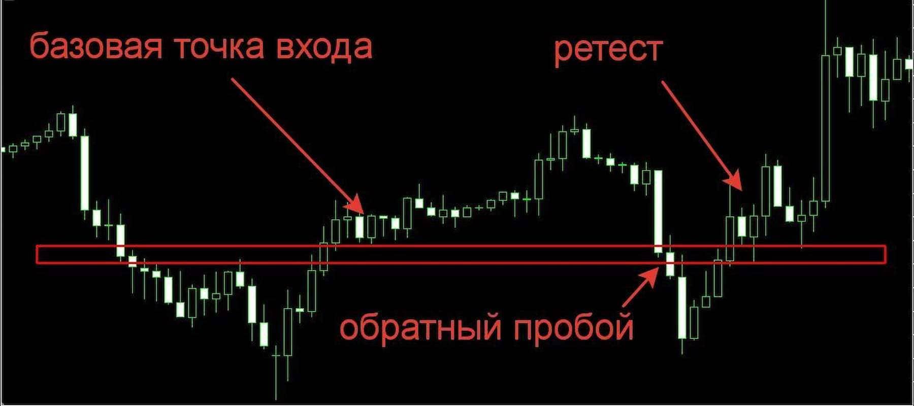 прибыльные торговые роботы